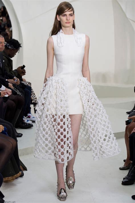 dior hc 2014|Christian Dior Spring 2014 Couture Collection .